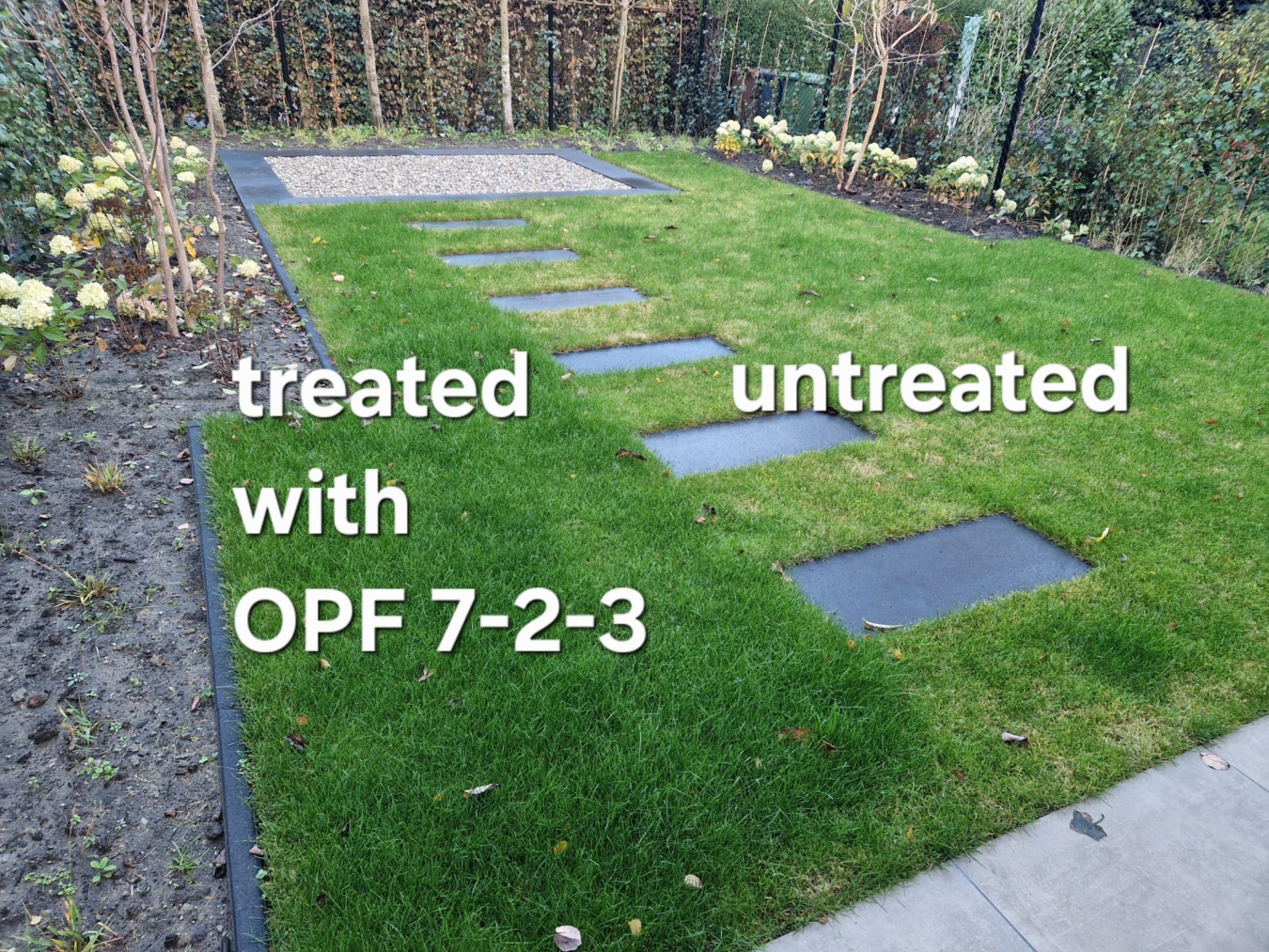 Koop Organic Plant Feed 7:2:3 5 liter